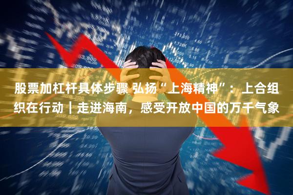 股票加杠杆具体步骤 弘扬“上海精神”:上合组织在行动|走进海南,感受开放中国的万千气象