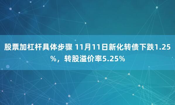 股票加杠杆具体步骤 11月11日新化转债下跌1.25%，转股溢价率5.25%