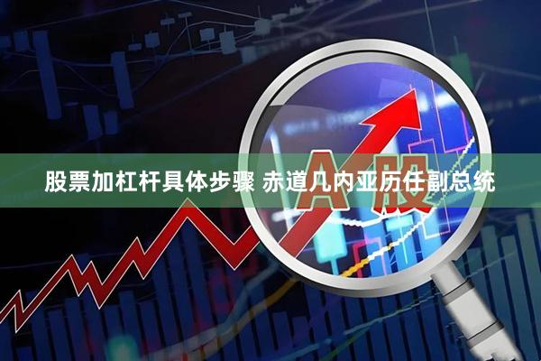 股票加杠杆具体步骤 赤道几内亚历任副总统