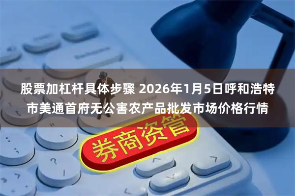 股票加杠杆具体步骤 2026年1月5日呼和浩特市美通首府无公害农产品批发市场价格行情